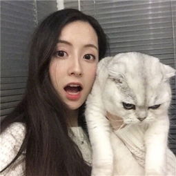 第一击杀正式版下载