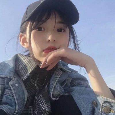 寻龙探宝果盘版下载
